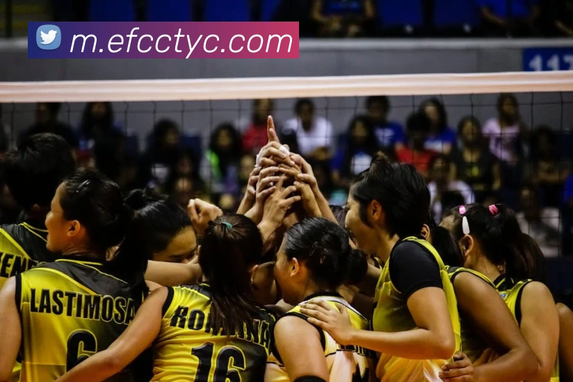 太阳城网站品牌故事